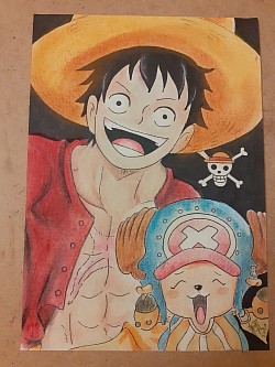 #OnePiece - illustrazione autentificata formato A5 8 euro